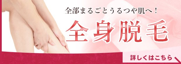 全身脱毛